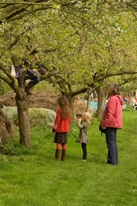 Foto - Aandelen in groente